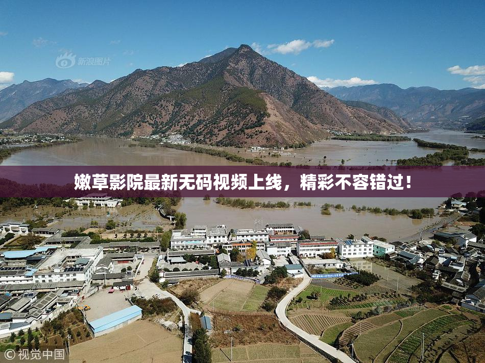 嫩草影院最新无码视频上线，精彩不容错过！