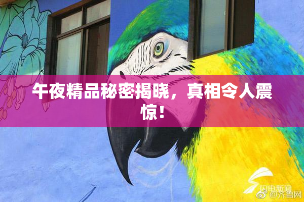 午夜精品秘密揭晓，真相令人震惊！