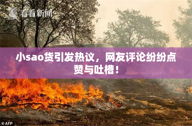 小sao货引发热议，网友评论纷纷点赞与吐槽！