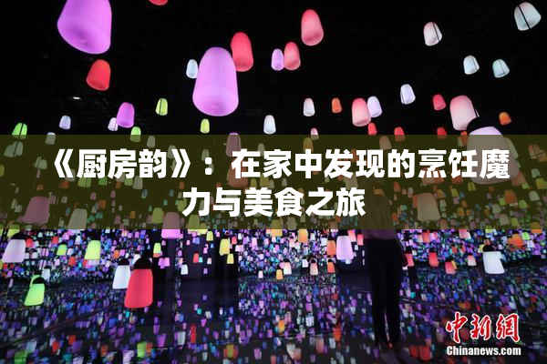 《厨房韵》：在家中发现的烹饪魔力与美食之旅