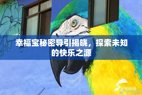 幸福宝秘密导引揭晓，探索未知的快乐之源