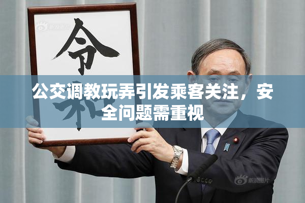 公交调教玩弄引发乘客关注，安全问题需重视