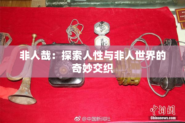 非人哉：探索人性与非人世界的奇妙交织