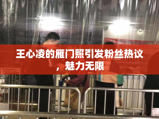 王心凌的雁门照引发粉丝热议，魅力无限