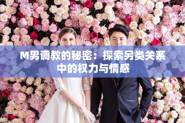 M男调教的秘密：探索另类关系中的权力与情感