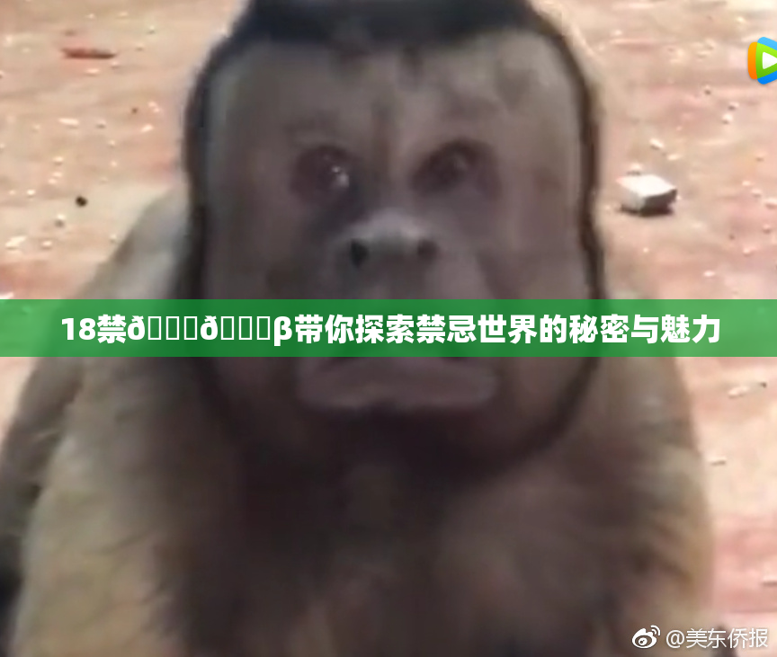 18禁🍆🍑β带你探索禁忌世界的秘密与魅力