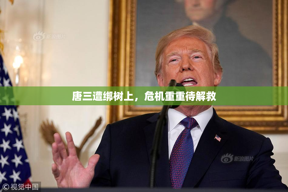 唐三遭绑树上，危机重重待解救
