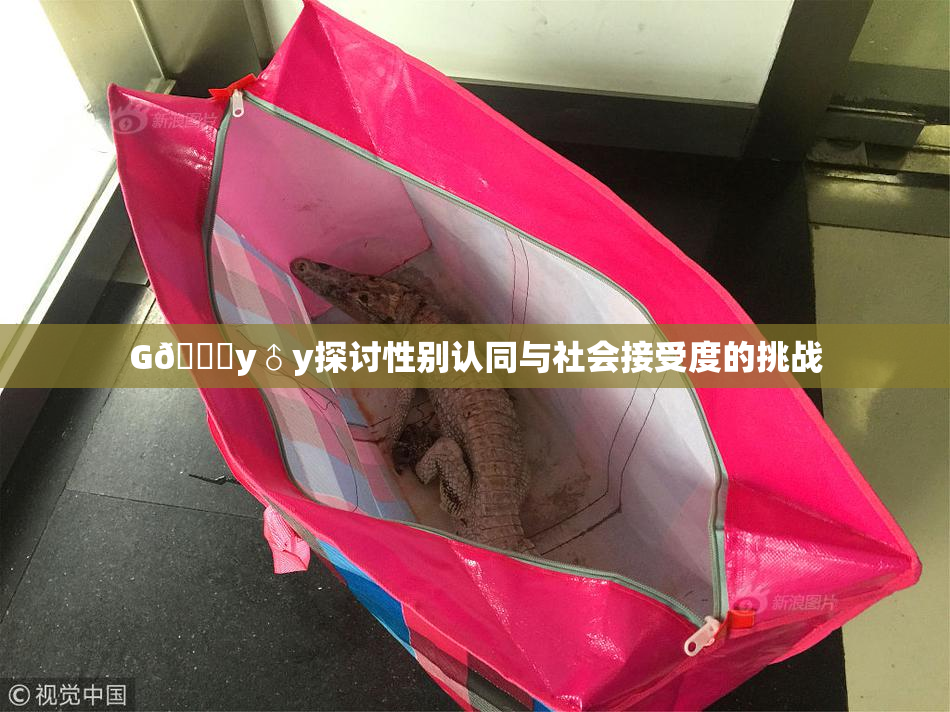 G🈚y♂y探讨性别认同与社会接受度的挑战
