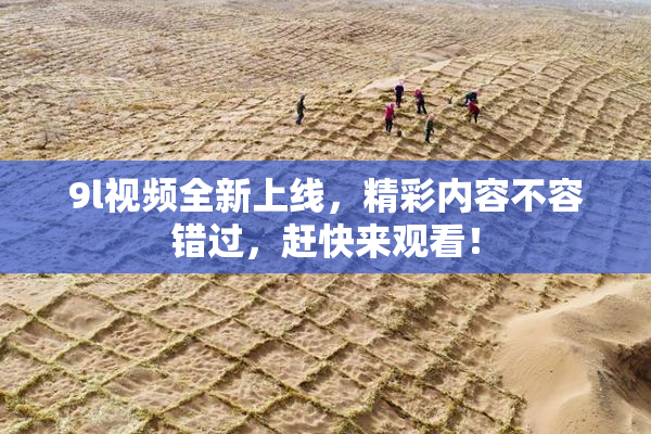 9l视频全新上线，精彩内容不容错过，赶快来观看！