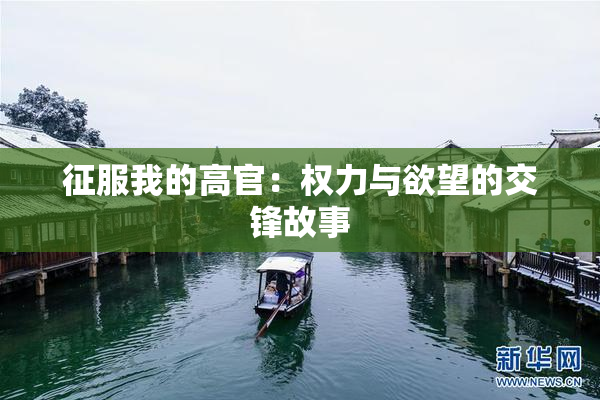 征服我的高官：权力与欲望的交锋故事