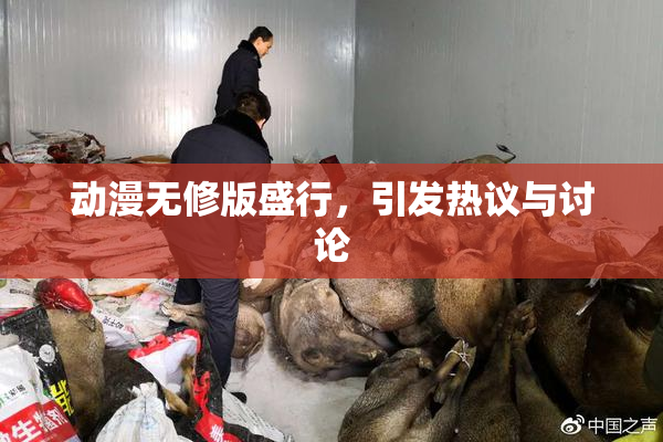动漫无修版盛行，引发热议与讨论