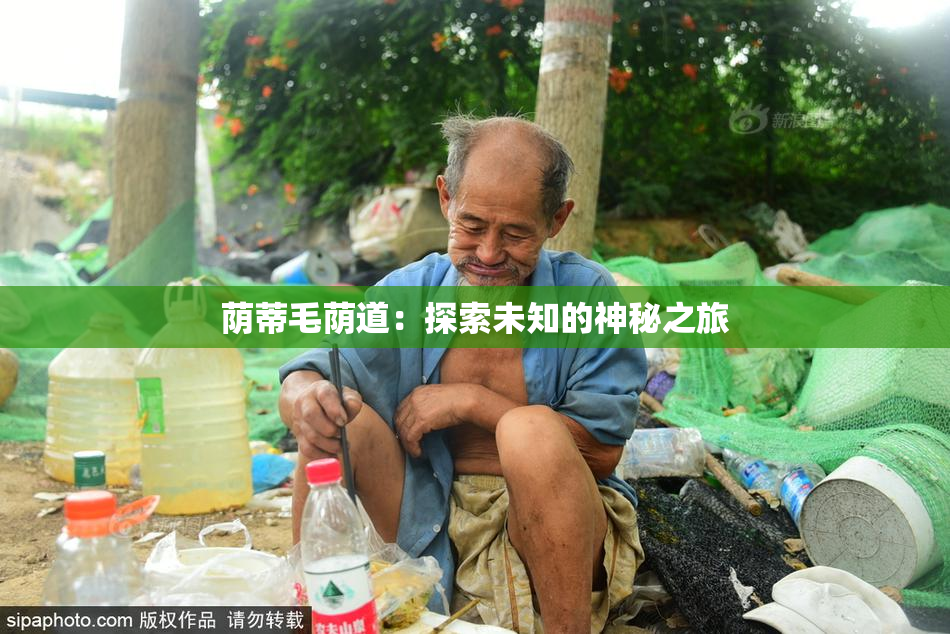 荫蒂毛荫道：探索未知的神秘之旅