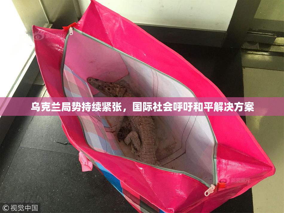 乌克兰局势持续紧张，国际社会呼吁和平解决方案
