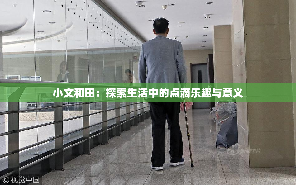 小文和田：探索生活中的点滴乐趣与意义
