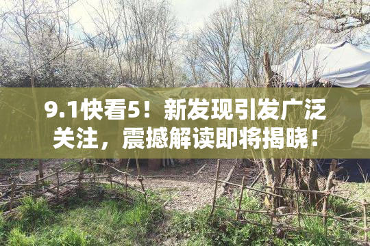 9.1快看5！新发现引发广泛关注，震撼解读即将揭晓！