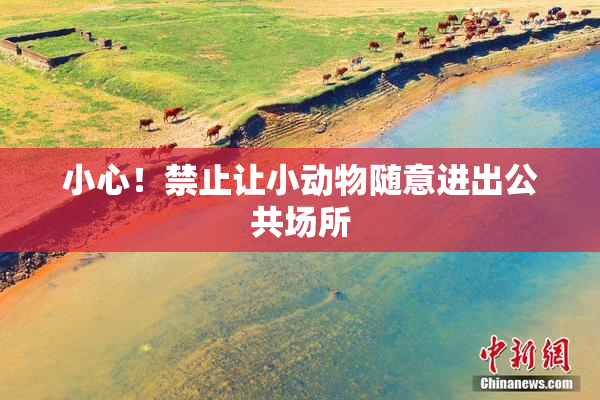 小心！禁止让小动物随意进出公共场所