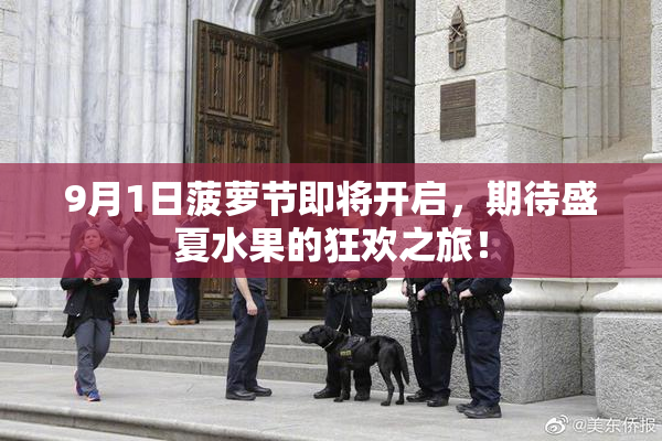 9月1日菠萝节即将开启，期待盛夏水果的狂欢之旅！