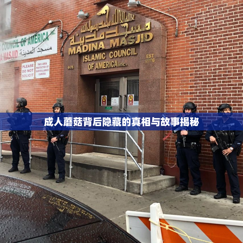 成人蘑菇背后隐藏的真相与故事揭秘