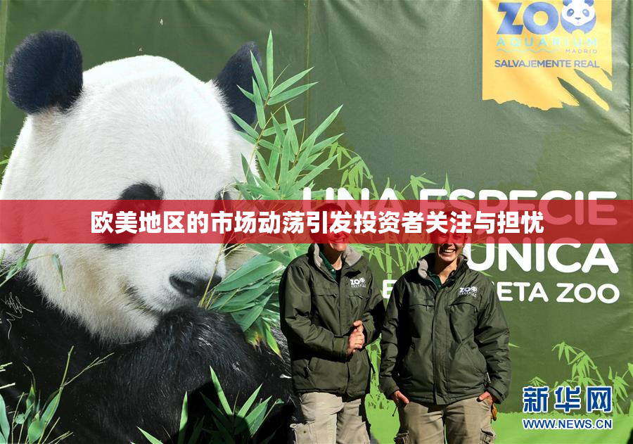 欧美地区的市场动荡引发投资者关注与担忧