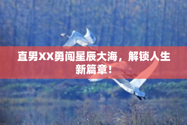 直男XX勇闯星辰大海，解锁人生新篇章！