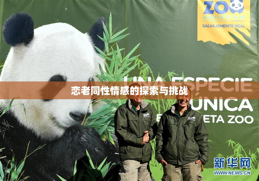 恋老同性情感的探索与挑战