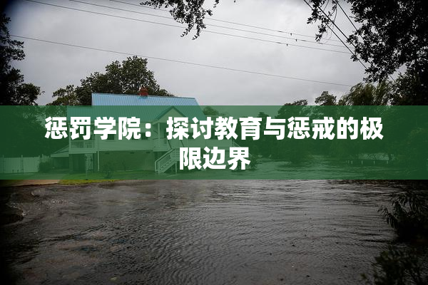 惩罚学院：探讨教育与惩戒的极限边界