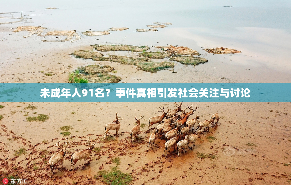 未成年人91名？事件真相引发社会关注与讨论
