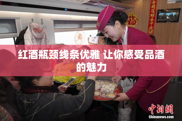红酒瓶颈线条优雅 让你感受品酒的魅力