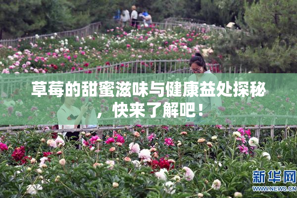 草莓的甜蜜滋味与健康益处探秘，快来了解吧！