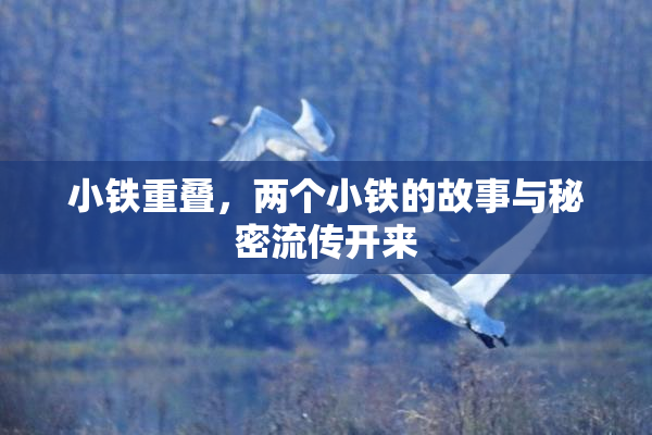 小铁重叠，两个小铁的故事与秘密流传开来