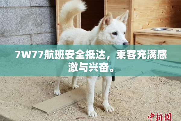 7W77航班安全抵达，乘客充满感激与兴奋。