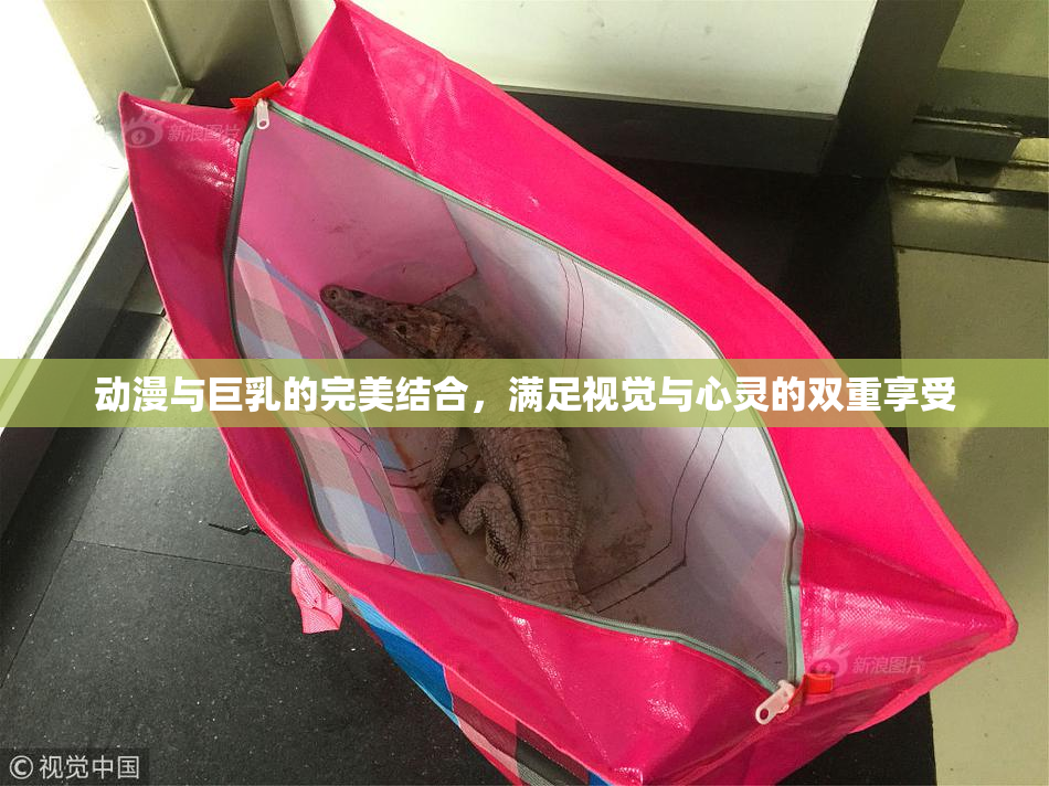 动漫与巨乳的完美结合，满足视觉与心灵的双重享受