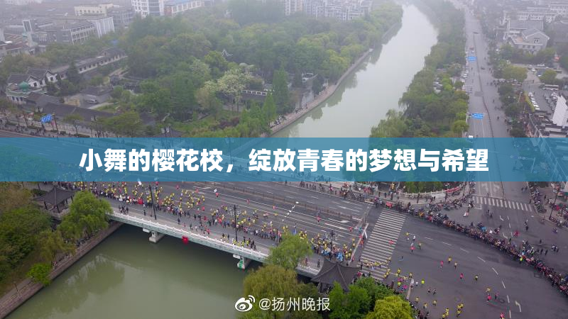 小舞的樱花校，绽放青春的梦想与希望