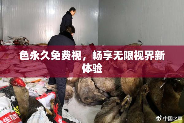 色永久免费视，畅享无限视界新体验