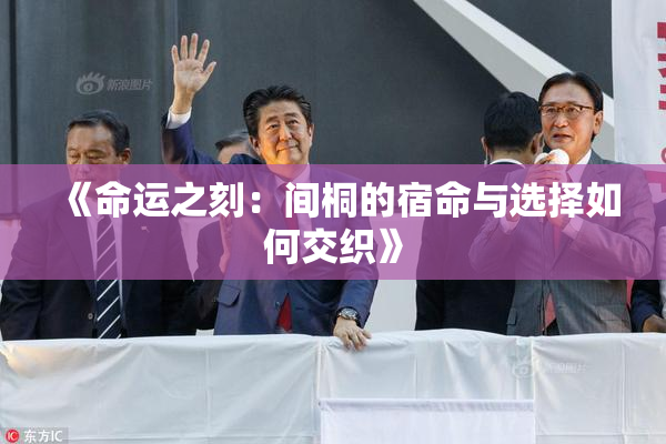 《命运之刻：间桐的宿命与选择如何交织》