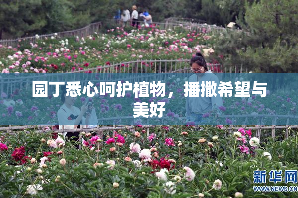 园丁悉心呵护植物，播撒希望与美好