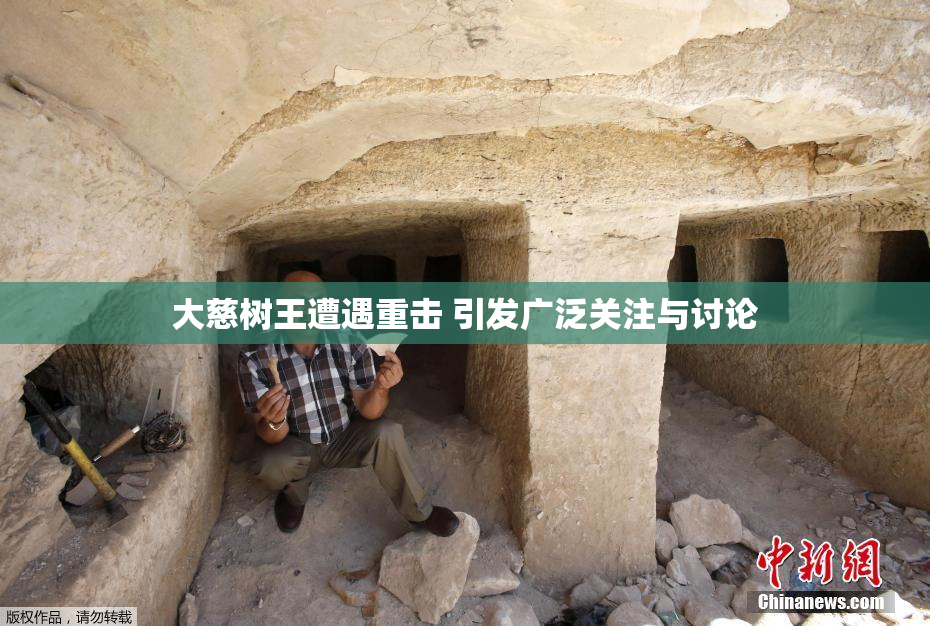 大慈树王遭遇重击 引发广泛关注与讨论