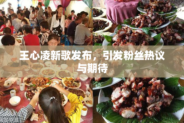 王心凌新歌发布，引发粉丝热议与期待