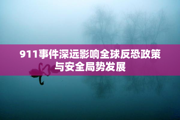 911事件深远影响全球反恐政策与安全局势发展