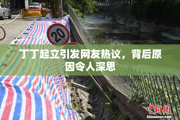 丁丁起立引发网友热议，背后原因令人深思