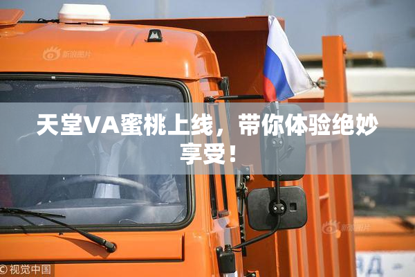天堂VA蜜桃上线，带你体验绝妙享受！
