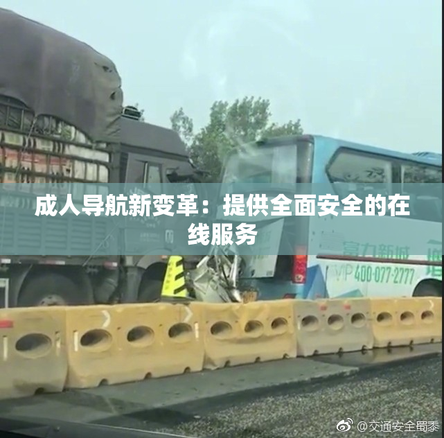 成人导航新变革：提供全面安全的在线服务
