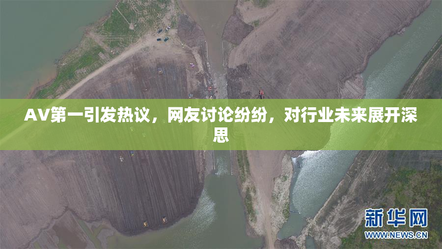 AV第一引发热议，网友讨论纷纷，对行业未来展开深思