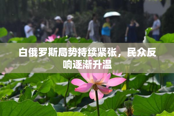 白俄罗斯局势持续紧张，民众反响逐渐升温