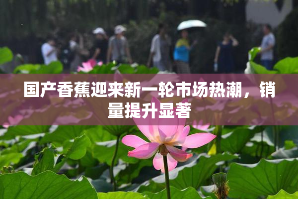 国产香蕉迎来新一轮市场热潮，销量提升显著