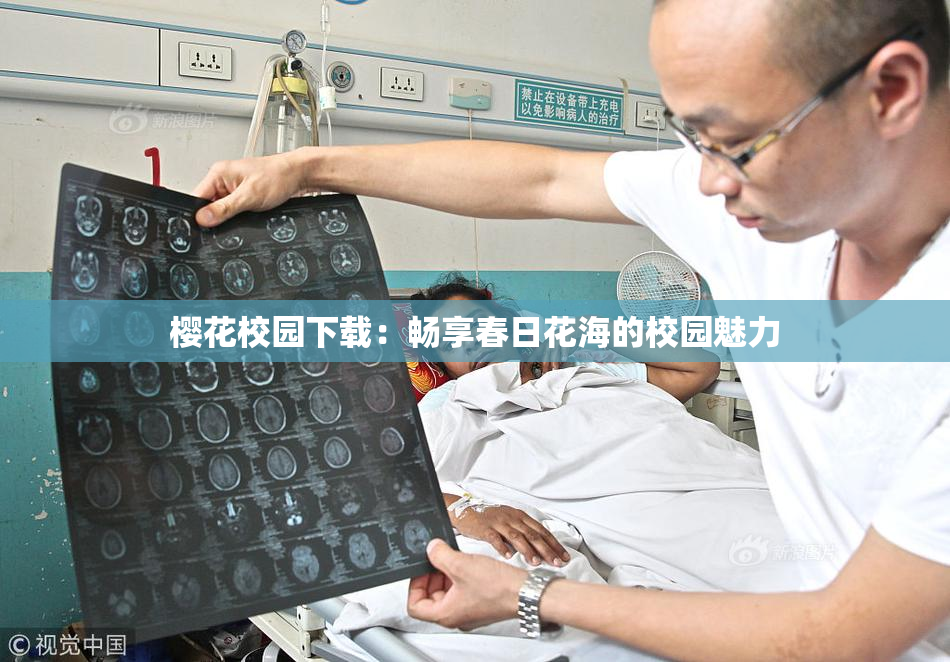 樱花校园下载：畅享春日花海的校园魅力