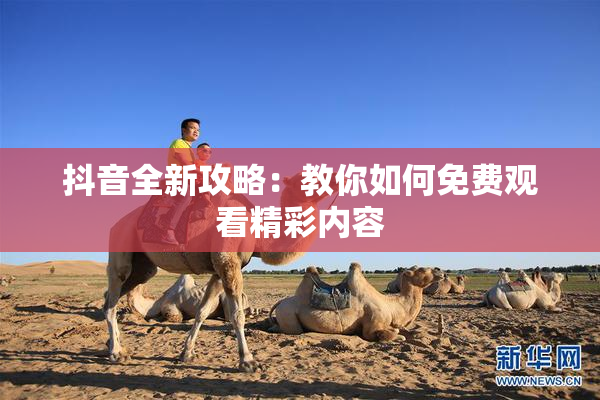 抖音全新攻略：教你如何免费观看精彩内容