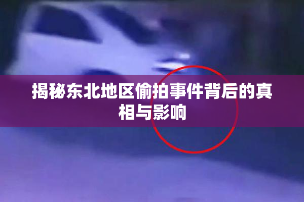 揭秘东北地区偷拍事件背后的真相与影响