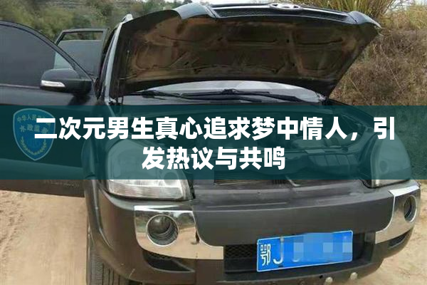 二次元男生真心追求梦中情人，引发热议与共鸣