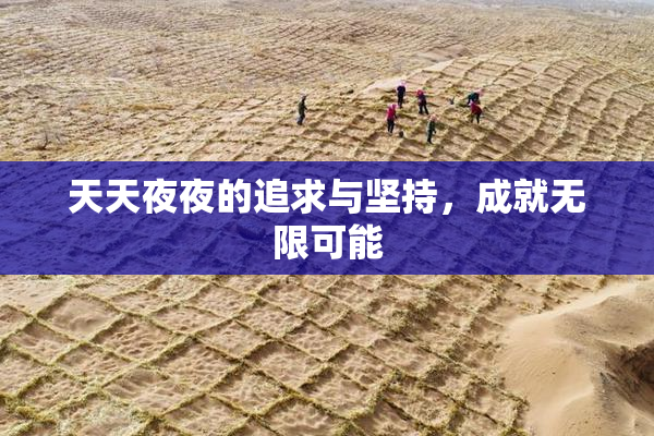 天天夜夜的追求与坚持，成就无限可能